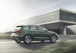 Audi SQ5 3.0 TFSI 2017 года (WW)